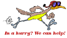 When you're in a hurry for MVD services in Albuquerque, NM, come to RapidMVD! The efficient choice for drivers' licenses, car registrations and title, and other MVD services!